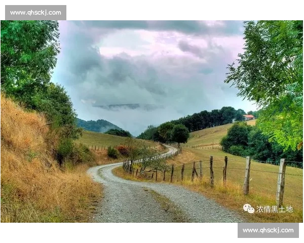 慢镜下的野性：JM Johannes 的质感瞬间